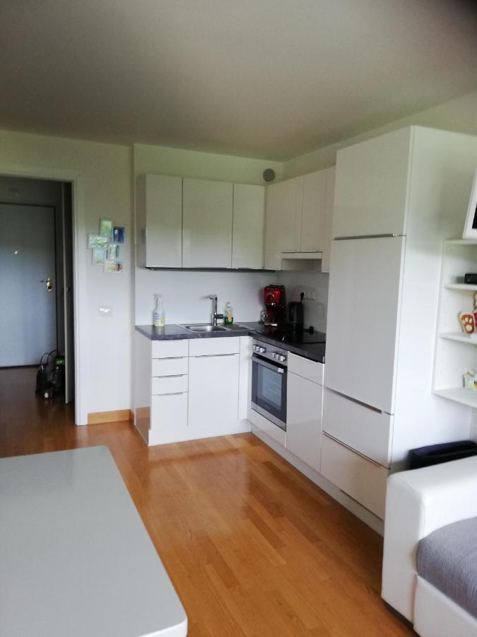 Ferienwohnung Blick Am Mittagskogel Фельден-ам-Вертерзе Екстер'єр фото